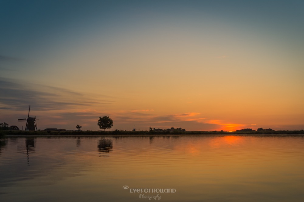 20004423949 65f43c7ece o